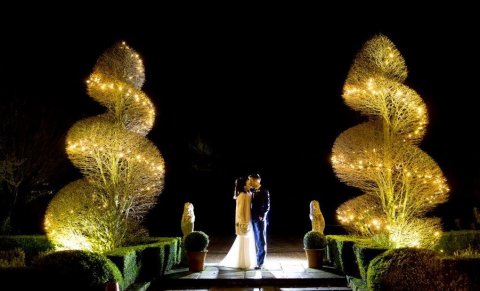 Le Talbooth, trees, nighttime - Le Talbooth