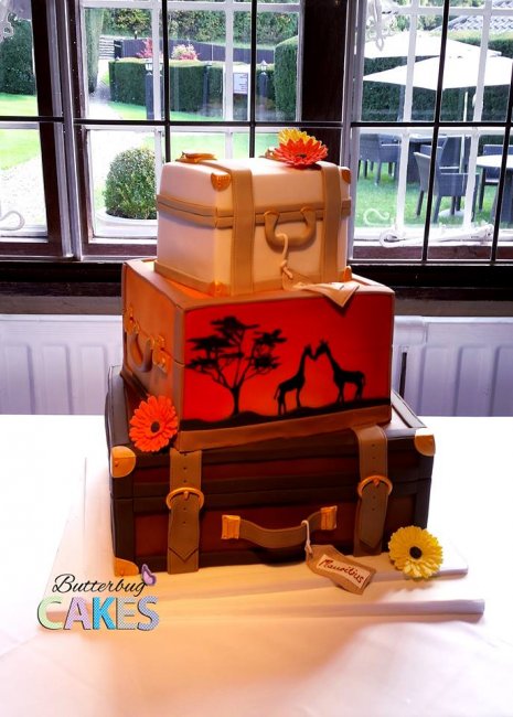 Wedding Cakes and Catering - Butterbug Cakes-Image 24578