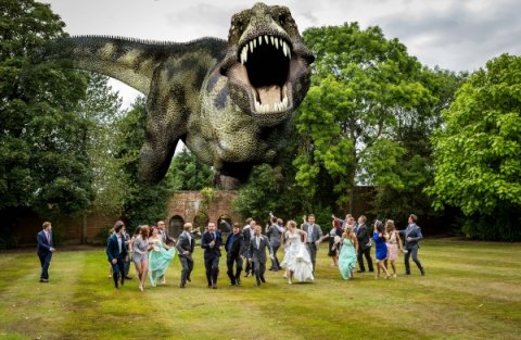 Capture The Day - Phil Webb Photography-Image 39276