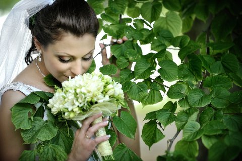 Wedding Photographers - RDphotodesign-Image 4417