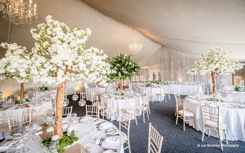 Wedding Reception Venues - Combermere Abbey Estate-Image 46558
