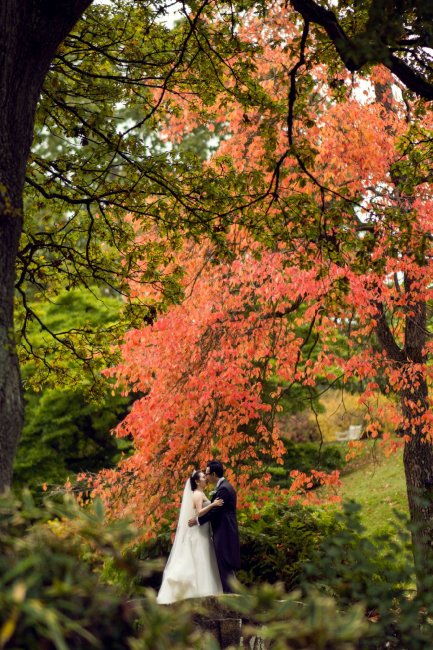 Photo Opportunity - Wakehurst 