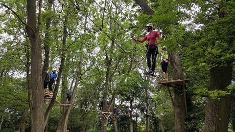 No Tarzan's swinging through the trees this time unfortunately... - Mojo Active