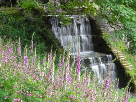 Wedding Marquee Hire - Osmaston Park-Image 36719