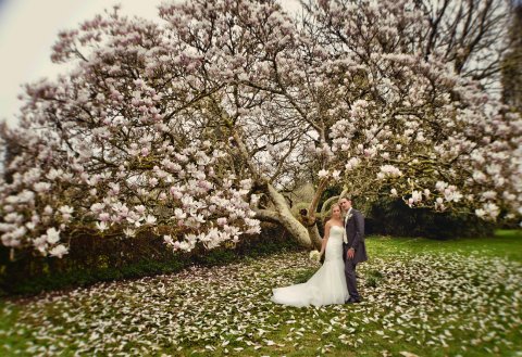 Great for every season - Holne Park House