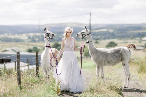 Outdoor Wedding Venues - The Wellbeing Farm-Image 46320