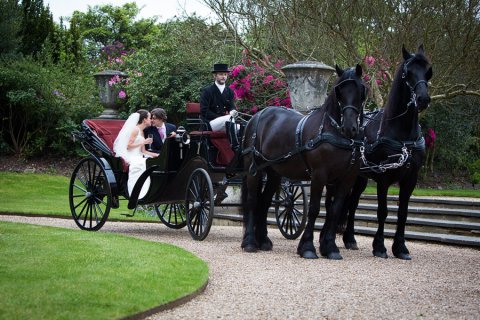 Wedding Horse Drawn Carriages - Carriages by Midnight-Image 7453