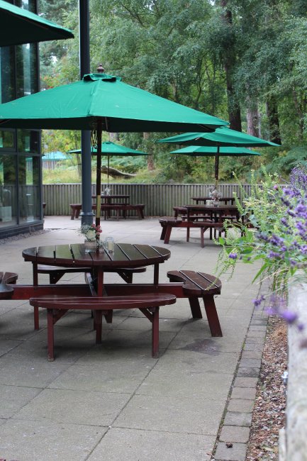 Wedding Ceremony and Reception Venues - Forever Green-Image 14615