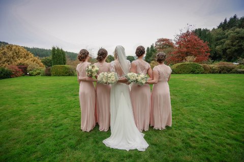 The Falcondale's grounds - The Falcondale Hotel