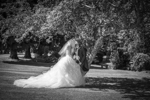 Wedding Photographers - simply natural photography-Image 20274