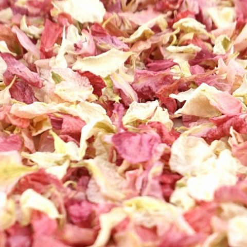 Delphinium & Wildflower Confetti - Raspberry / Vanilla - The Dried Petal Company