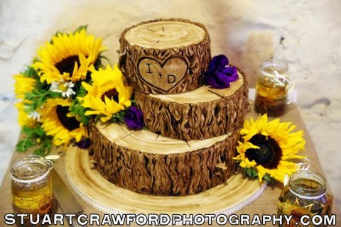 Cut Logs Cake - Sensation Cakes