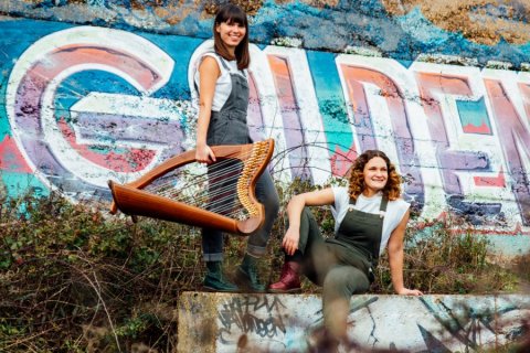 Wedding Music and Entertainment - 2 of Harps-Image 47603