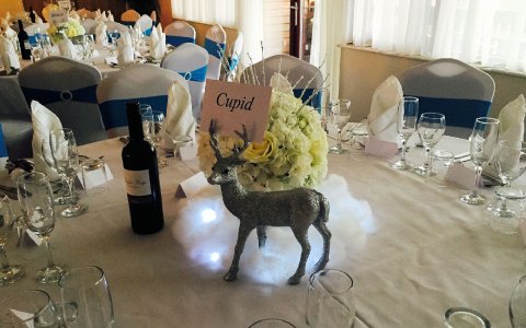 Wedding Reception Venues - Mount Pleasant Golf Club-Image 23917