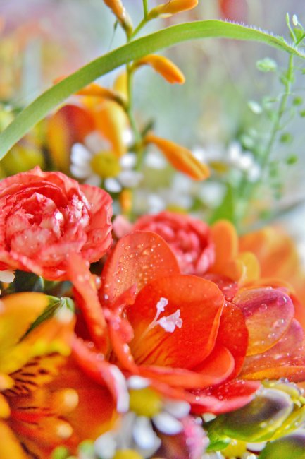 Flower creation - Hartley Photography