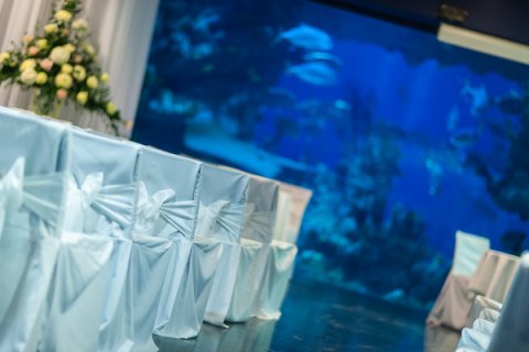 Venue Styling and Decoration - Style My Venue-Image 593