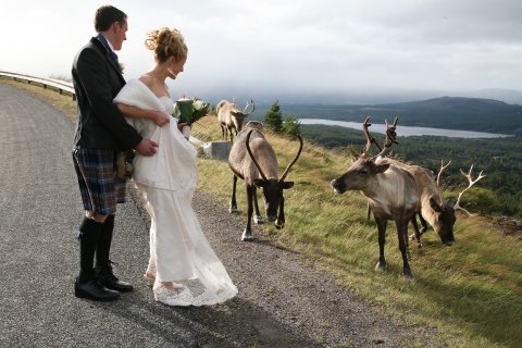 Wedding Ceremony and Reception Venues - CairnGorm Mountain Ltd-Image 34114