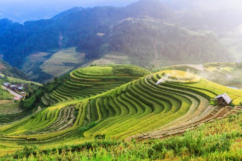 Terrace rice fields, Bali, Indonesia - Far and Away Luxury