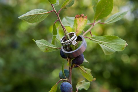 Wedding Caterers - Dakshas Catering Ltd-Image 10711