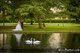 wedding-photographer-london-regents-park-westminister - Wedding Photographer London