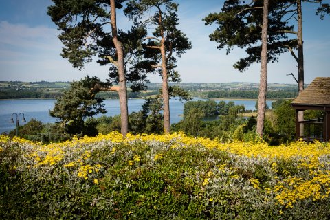 Wedding Marquee Hire - Barnsdale Hall Hotel-Image 28769
