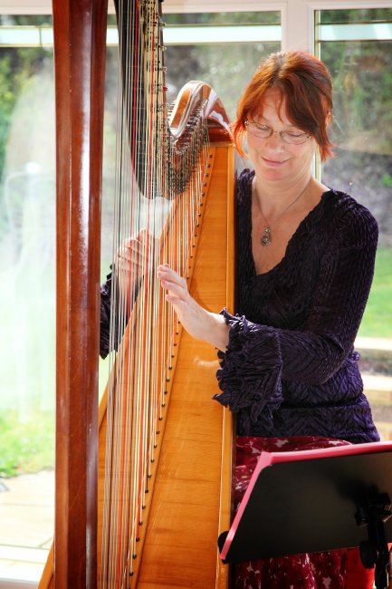 Wedding Music and Entertainment - HARPIST Marie-France-Image 10429