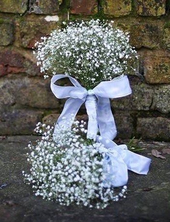 gypsophila bridesmaids bouquets - Eden Florists
