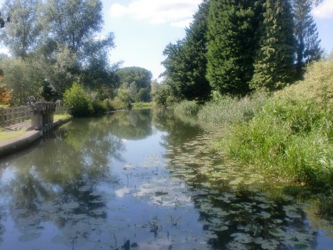 Looking up Stream - The Old Mill