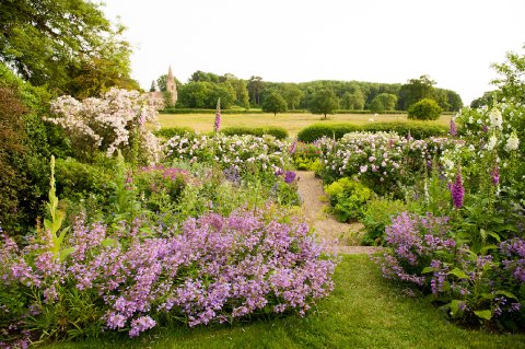 Rose Garden - Kelmarsh Hall & Gardens 