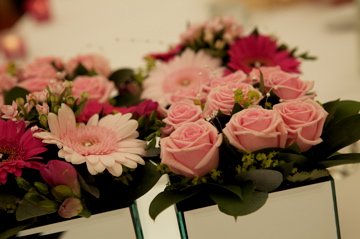 mirror cube arrangements - manor nursery garden centre