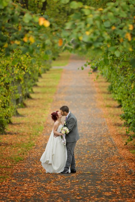 Bride & Groom in avenue of trees - PB Photography