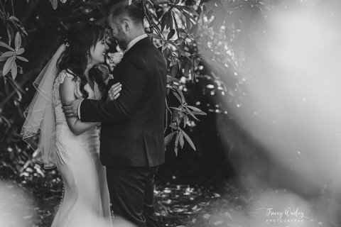 Wedding Photographers - Tracey Warbey Photography-Image 47997