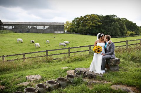 Wedding Ceremony and Reception Venues - Sheepdrove Organic Farm-Image 29062
