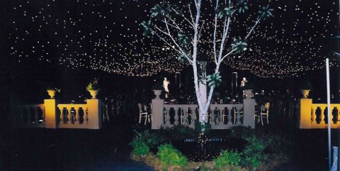 midsummer nights dream - Amazing Parties Ltd