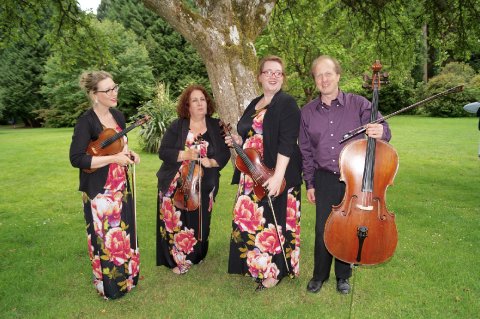 Wedding Music and Entertainment - 4tissimo String Quartet-Image 13679