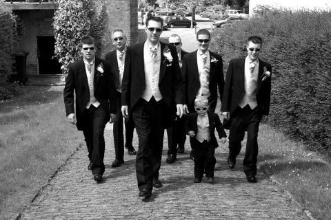 Reservior Dogs - DD Photography