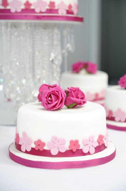 Wedding Reception Venues - CEME Conference Centre-Image 26682