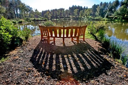 Wedding Reception Venues - Bearwood Lakes -Image 10144