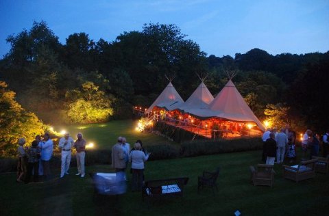 african 'treetops' style party - Amazing Parties Ltd