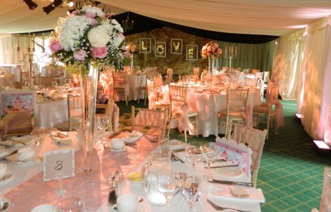 Marquee style venue draping - Party Linen Venue Decor Specialists