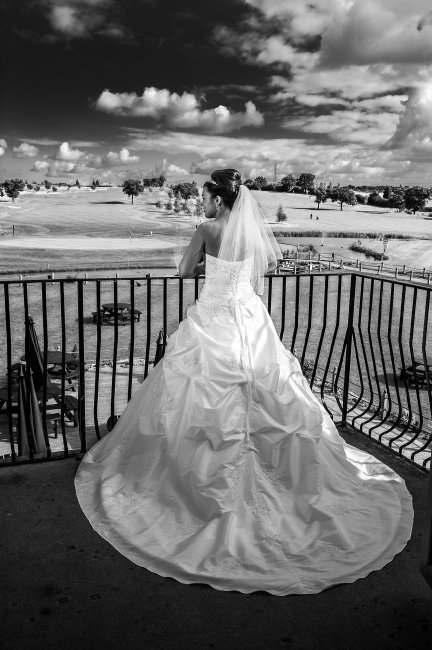 Wedding Photo Albums - Picture Perfect-Image 17478