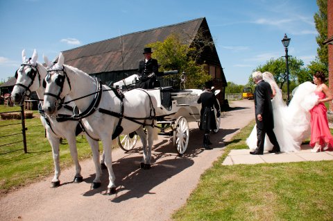spoilt for choice.. - Huntlands Farm