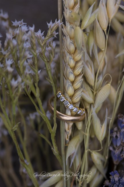 Wedding Rings among the reeds - Graham Davies Wedding Photography