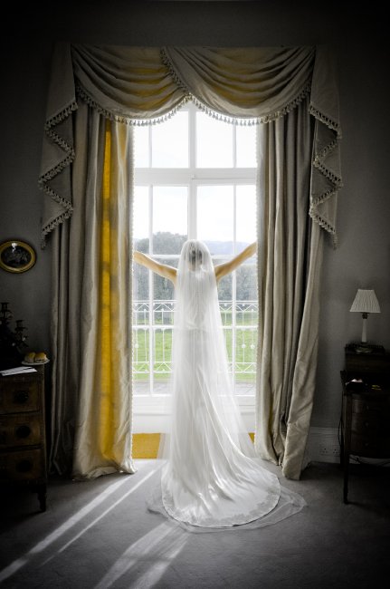 Window - North Cadbury Court