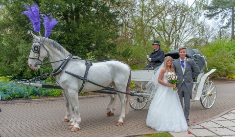 Wedding Photographers - Gavin Aitken Photography-Image 14405