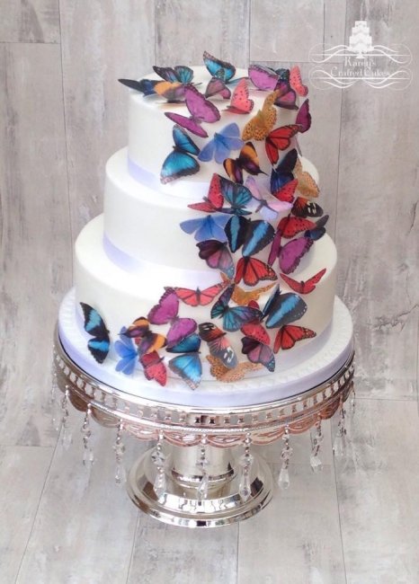 Butterfly cake - Karen's Crafted Cakes