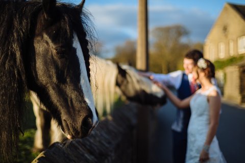 Adjoining paddocks. James & Lianne Photogrpahy - Holdsworth House Hotel & Restaurant