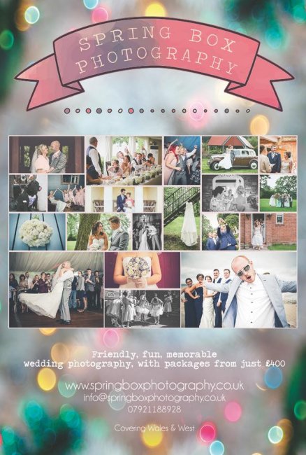 Wedding Photographers - Spring Box Photography-Image 22989