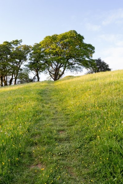 Ges's beautiful country location is so pretty. - My Cool Holiday