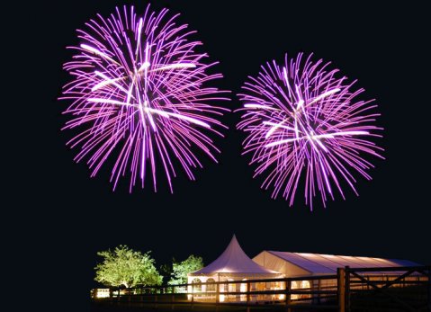 Wedding Fireworks Displays - Komodo Fireworks-Image 13144